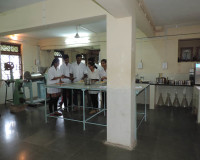 Working on custard apple products